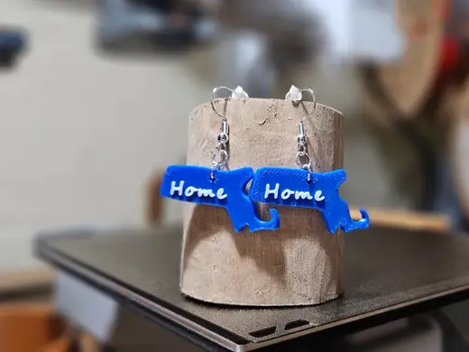 Massachusetts Home Earrings