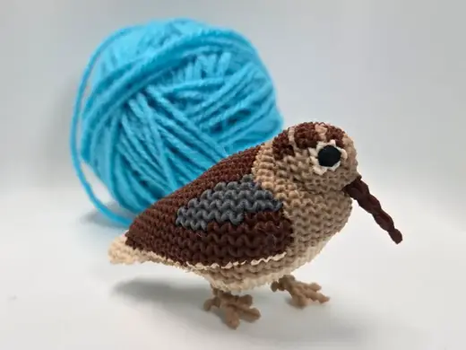 Knitted American Woodcock