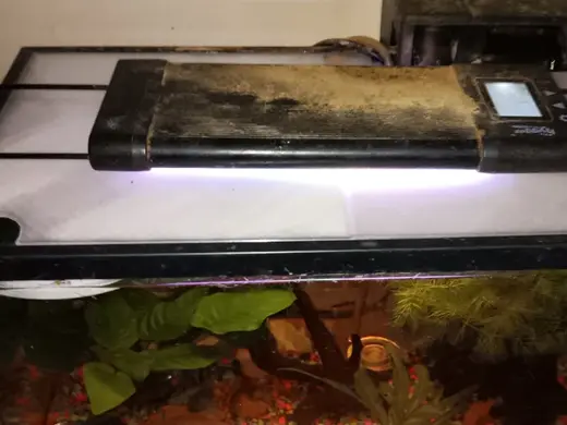 5 gallon aquarium lid