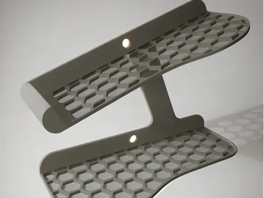 Shoe Organizer