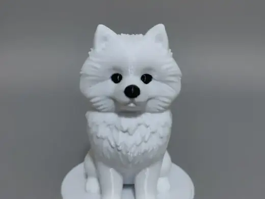 博美犬 可爱的小狗