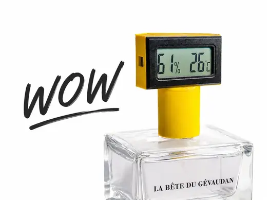Perfume Thermometer (The Bedside Weather Station)
