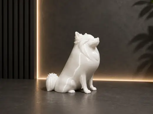 Pomeranian - Dog - Animal