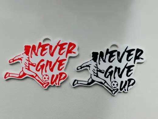Never give up keychain (AMS, No AMS)
