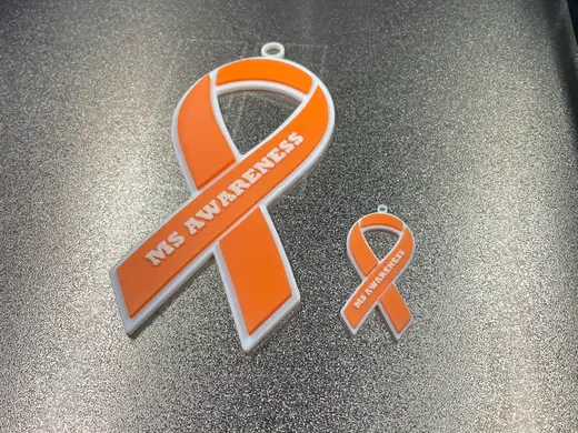 MS Ribbon Symbol Keychain and Car Mirror Hanger