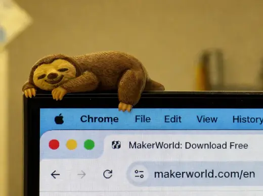Sleepy Sloth Monitor Buddy