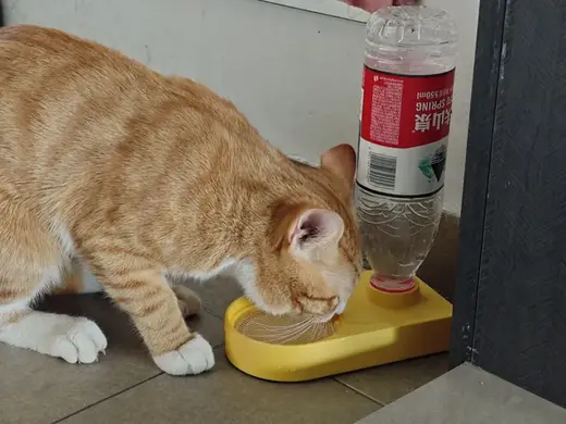 宠物饮水器