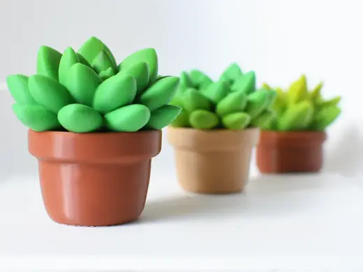 Decorative Succulent Plant Pot C