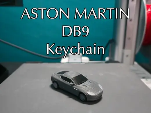 Aston Martin DB9 Keychain (PIP WW)