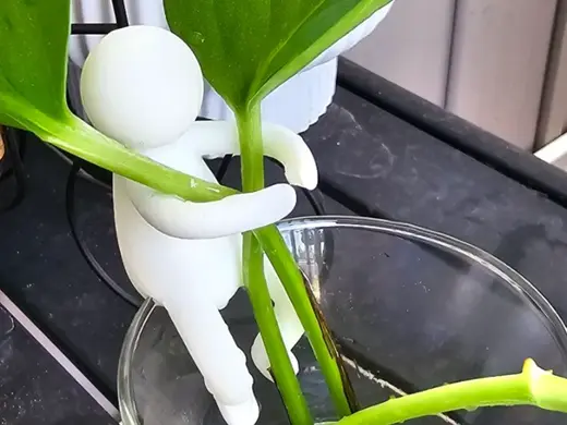 Propagation Buddy - plant support figures