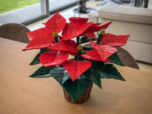 Flexi Christmas flower (Poinsettia)