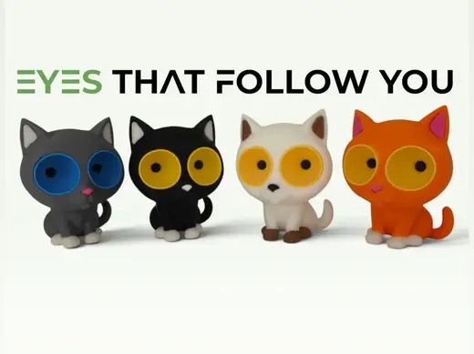 OOglees Gato| Wild Watchers