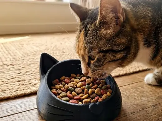 Cat Head Pet Feeder – Cute Cat Shaped Food Bowl