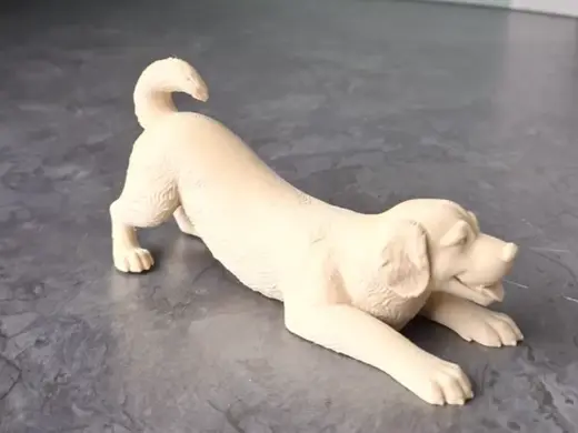 Playful Labrador Retriever Puppy