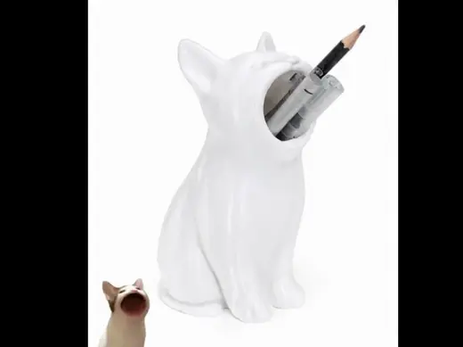 Open Mouth Cat Meme Pencil Holder