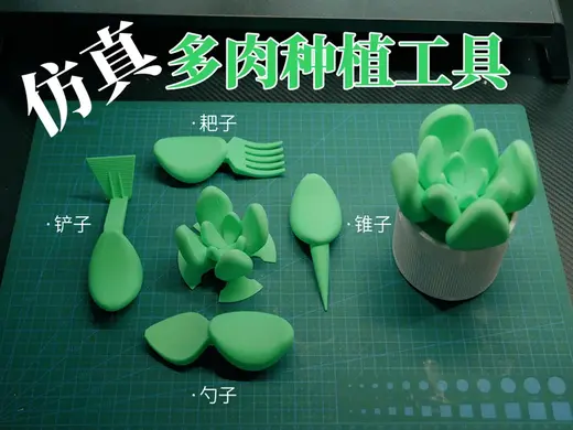 多肉种植工具四件套