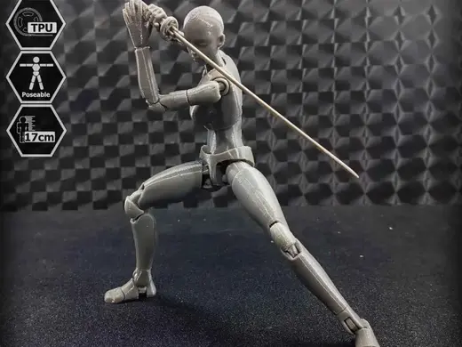 1/10 Scale TPU Joint Action Figure E.V.A 02