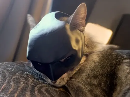 ghotam cat (GHOTAM KITTY) CAT MASK BATMAN