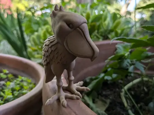 Cute Shoebill Stork