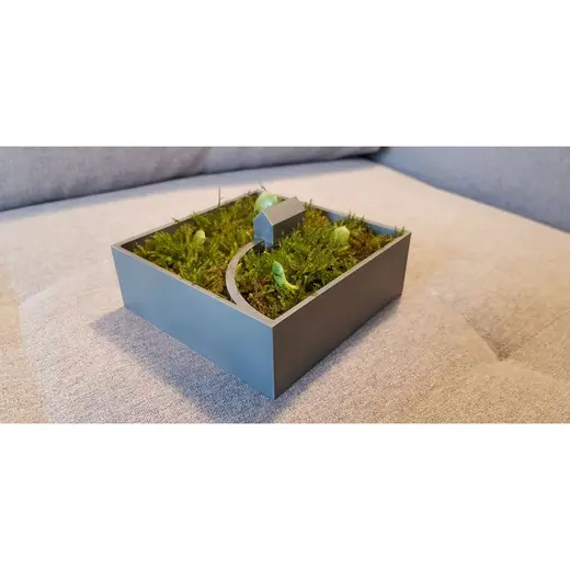 Flower Pot and House
