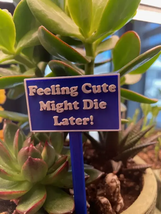 "feeling cute might die later" Plant Sign