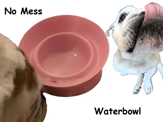 Bulldog water bowl No Mess!