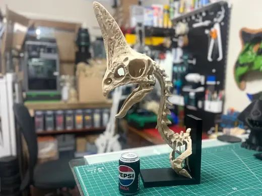 Lifesize Oviraptorosaur Skull Replica Bust