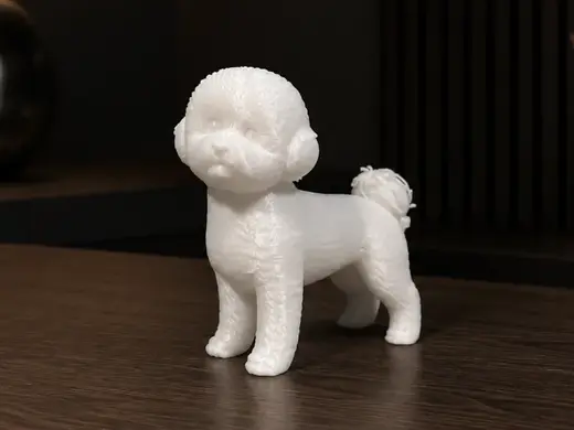 Bichon Frisé - Animal - Dog - Decor