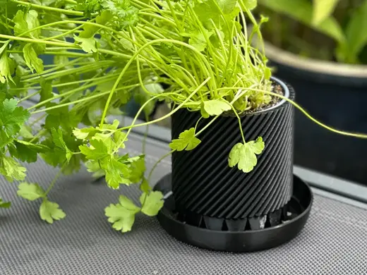 Plant pot with integrated water drainage