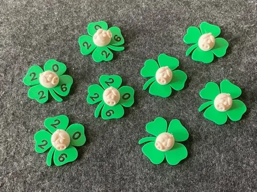 New Year lucky charm pig four-leaf clover 2026