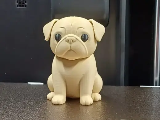 Cute Pug Puppy