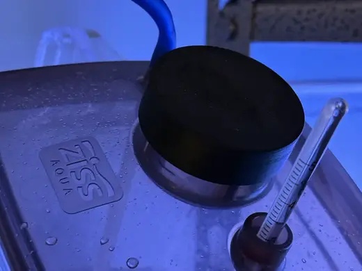 Ziss Brine Shrimp Hatchery Plus Cap