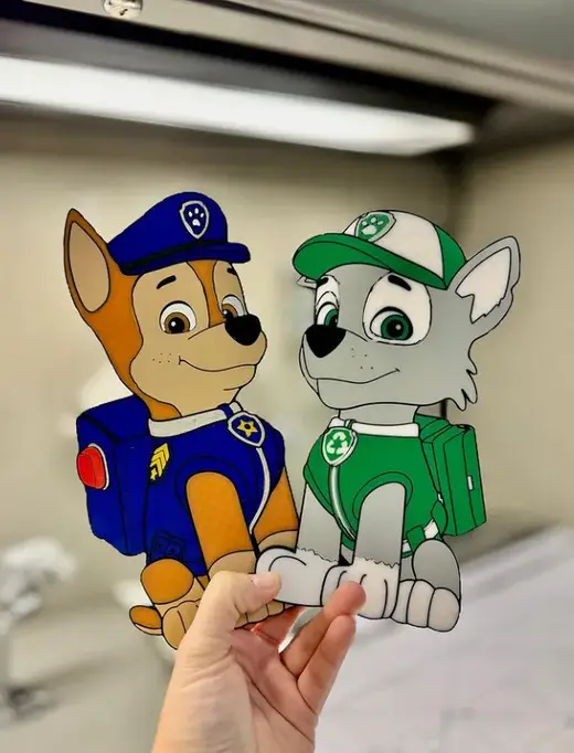Rocky Paw Patrol