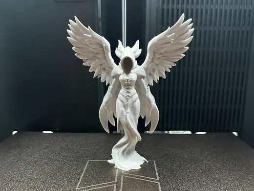 Angel of Shadows