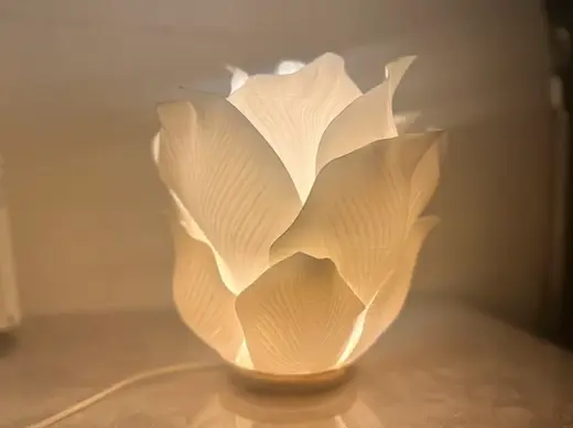 花灯,夜灯,适配拓竹夜灯底座配件。