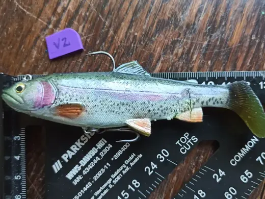 J-Hook cover for soft baits that CLICKS!