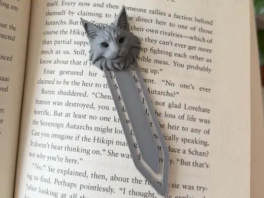 Maincoon cat - bookmak