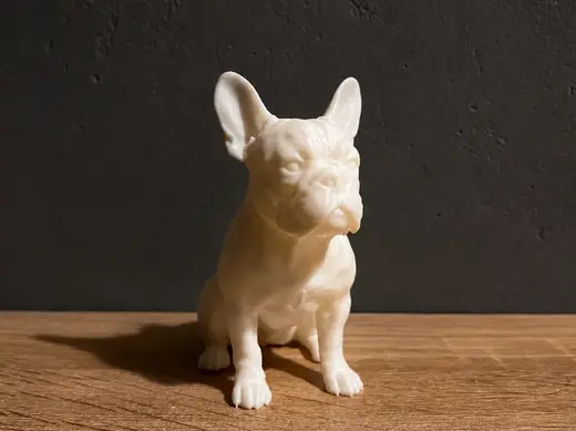 French Bulldog - Animal - Dog