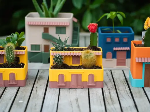 House Cactus Planter (No AMS required)