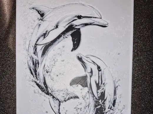 Playful Dolphins in the Splash