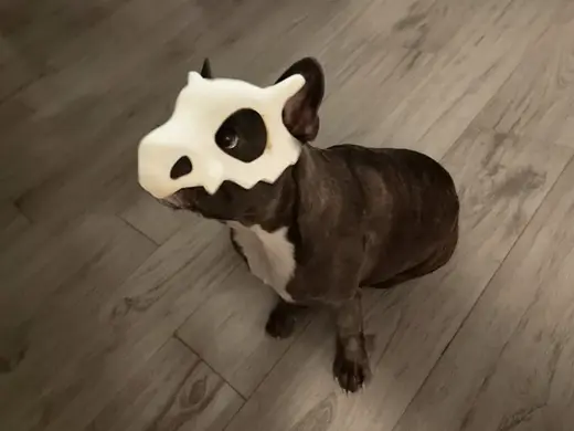 Dog and Cat Mask (cubone from Pokèmon)
