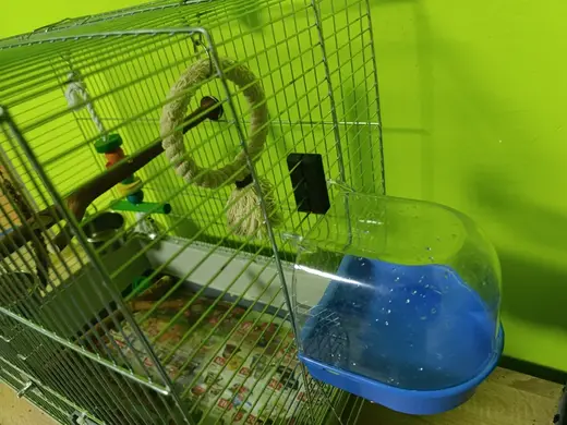 Zajištění vany a misek do ptačí klece