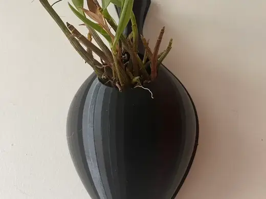 蝴蝶兰花盆挂式