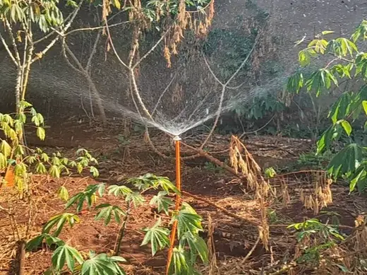 Aspersor Ajustável para Jardim e Horta