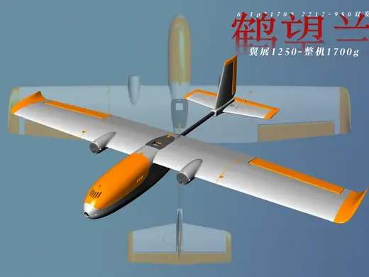 鹤望兰-1250C 固定翼FPV载机航模