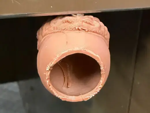 Acorn Jumping Spider Hide