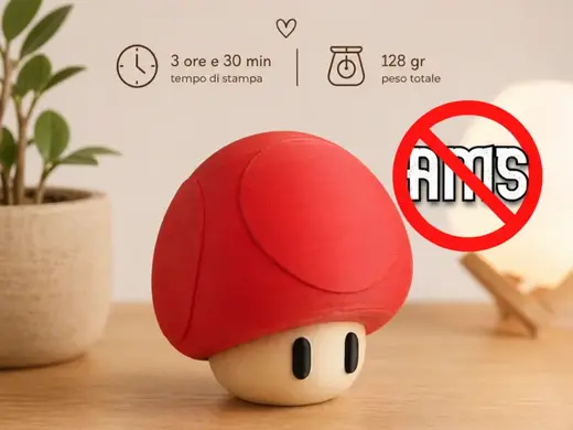 Fungo di Super Mario Bros