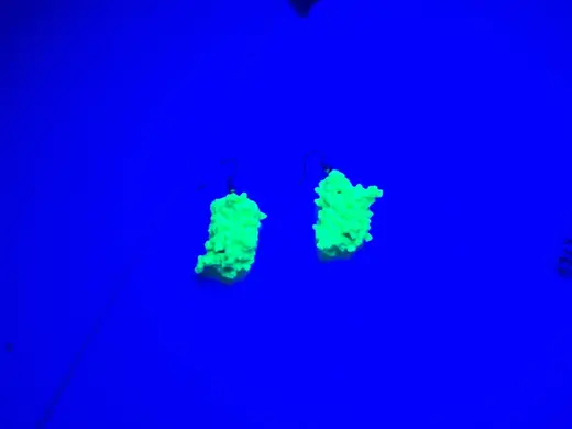 sfGFP (Green Fluorescent Protein) earrings