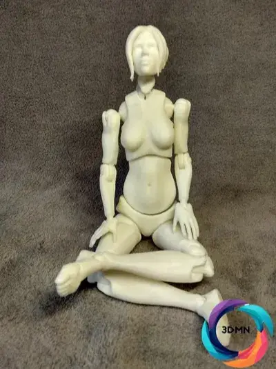 Female Figure Jointed