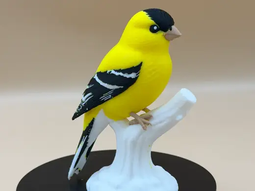 Sunshine Goldfinch